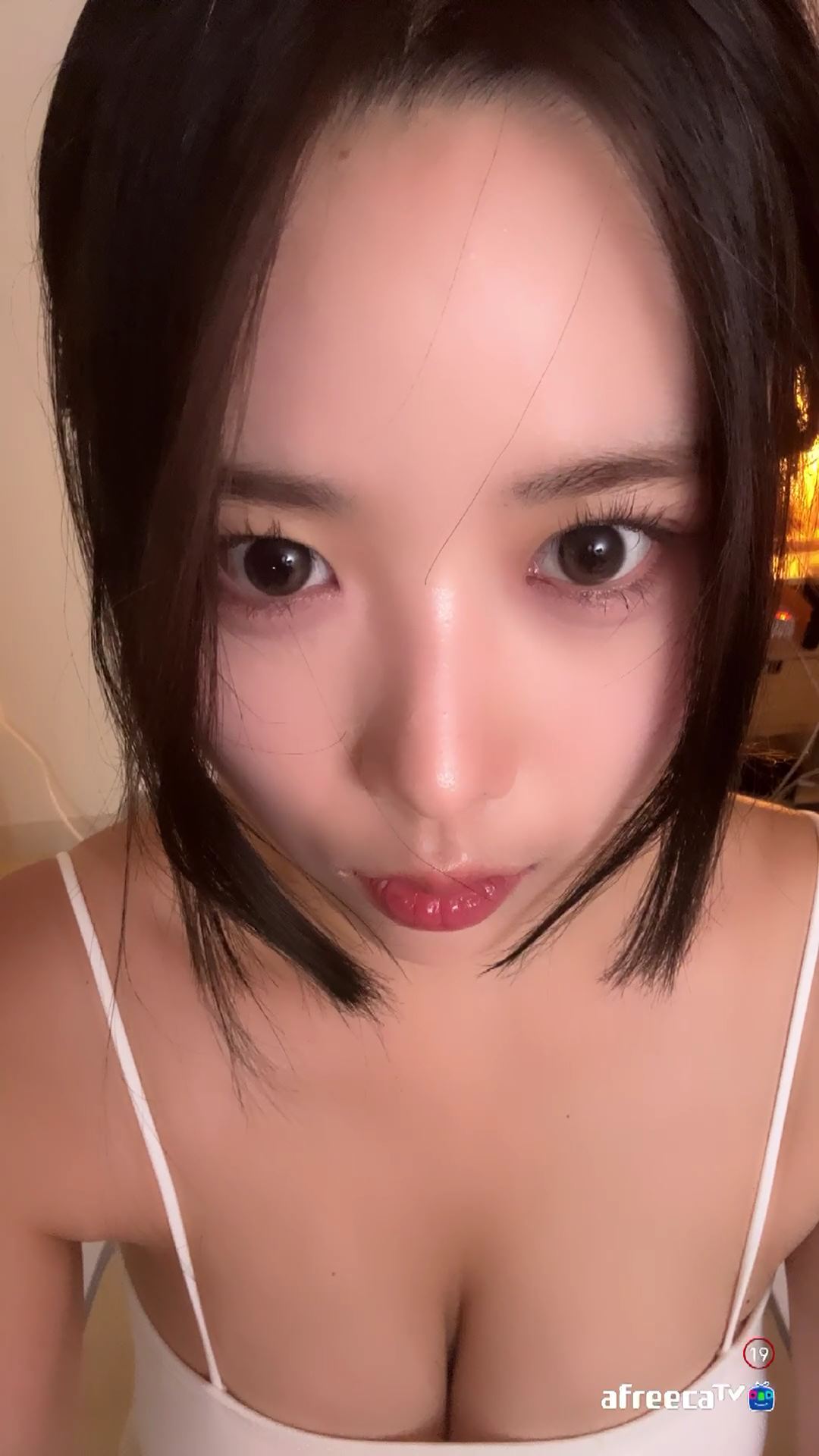 냥냥스쿠 230613