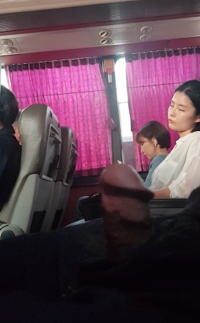 (국산) 고속버스 옆자리 여자보며 바지 벗고 딸치다가 걸림 ㅋㅋㅋ